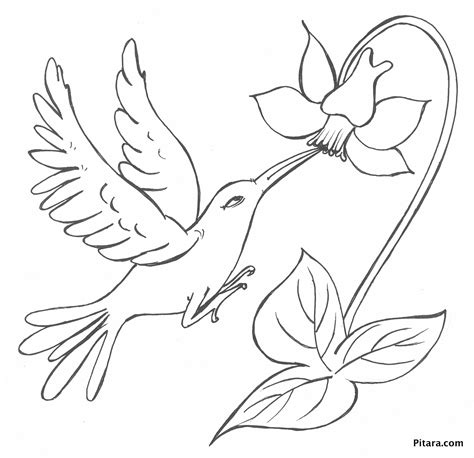 Birds And Flowers Coloring Pages at GetColorings.com | Free printable ...