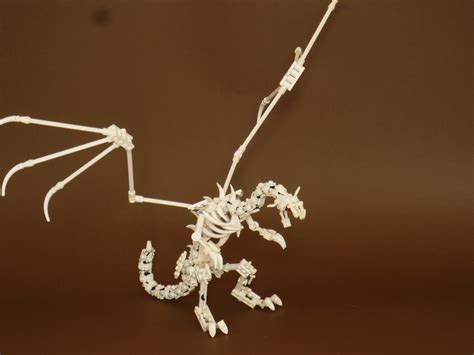 Wallpaper : organism, skeleton, velociraptor, macro photography, ART ...