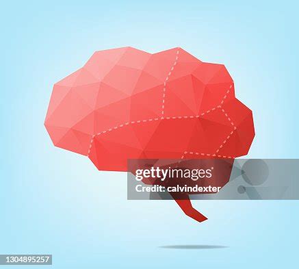 Human Brain High-Res Vector Graphic - Getty Images 