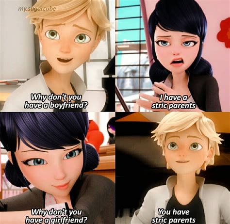 ladybug meme miraculous memes   fandom