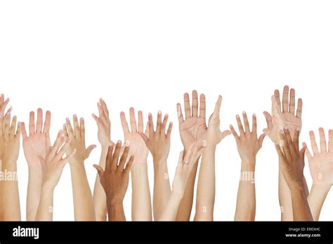 close  man hands   res stock photography  images alamy
