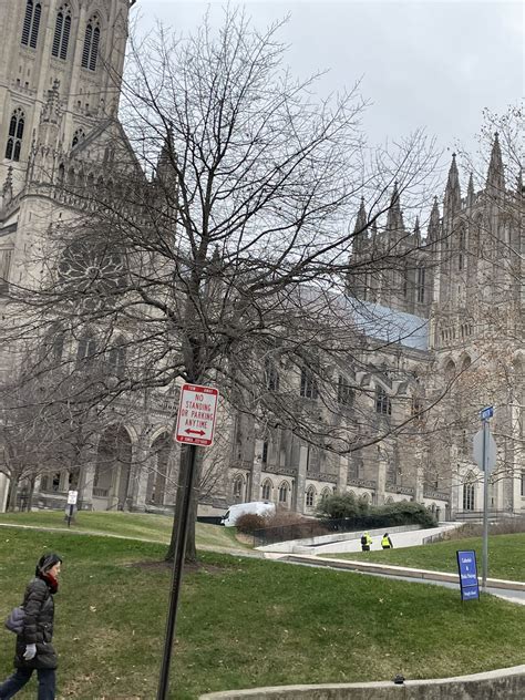 TW Pornstars - Carol Foxxx. Twitter. You never realize how big the