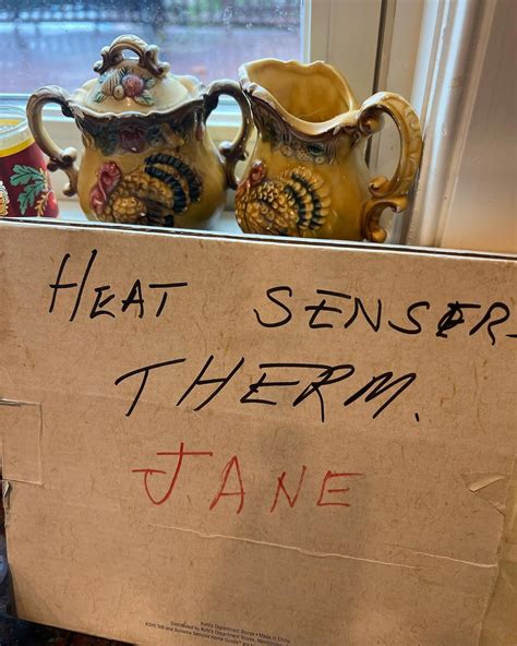 Jane Treacy QVC | 16 years later Rudy is still guiding me with the