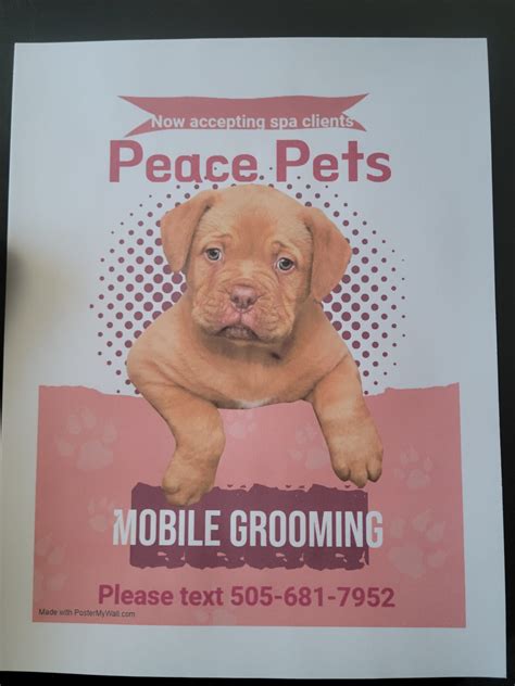 Peace Pets | Santa Fe NM