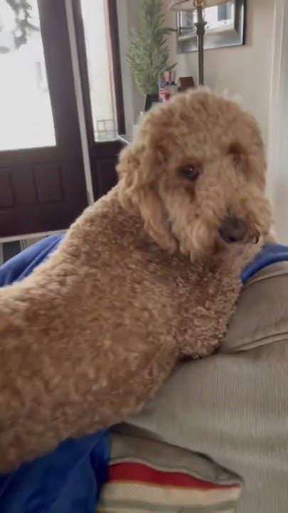 Charley is Crazy! - YouTube