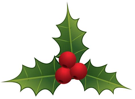 Free Christmas Mistletoe PNG Download Free PNG | PNG All