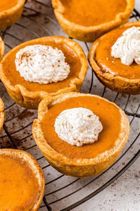 Mini Pumpkin Pies Recipe | The Novice Chef