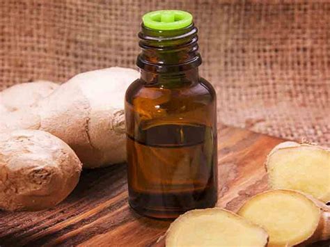 ginger oil  litre ginger essential oil  mumbai id