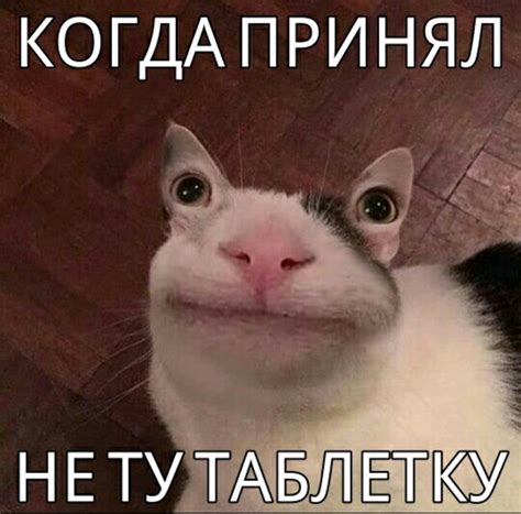 Когда принял не те таблетки | Пикабу