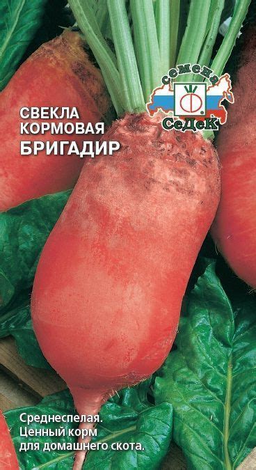 Семена овощей: СВЕКЛА - интернет-магазин СеДеК