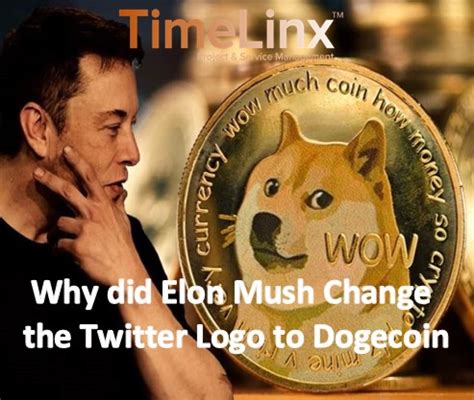 Why did Elon Musk change the Twitter logo to Dogecoin? - TimeLinx ...