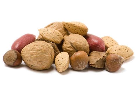 health-benefits-of-nuts-benefits-of-12-types-of-nuts-524580_1024x1024 ...