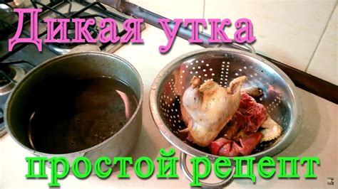 Как приготовить дикую утку. Дикая утка тушеная - самый простой рецепт ...