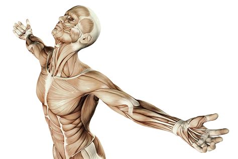 Therapie | Physiotherapie Fösgen