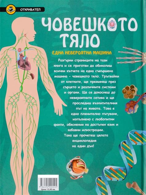 《Човешкото тяло. Една невероятна машина (Откривател)》| Книги от онлайн ...