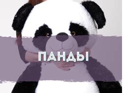 Купить большого плюшевого медведя в СПб | Плюшевые медведи недорого ...