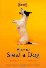 how to steal a dog summary