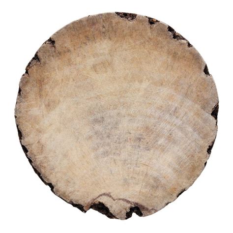 wood stock photo image  forests industrial