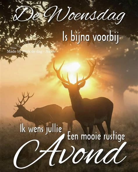 WOENSDAGAVOND Good Evening, Good Night, Slaap Lekker, Movies, Movie ...