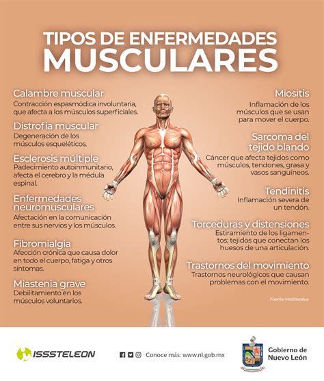 Enfermedades Del Sistema óseo