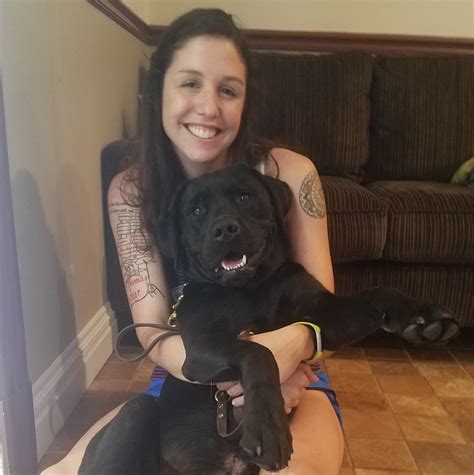 Positive Dog Training Chardon Ohio | Cold Nose Companions