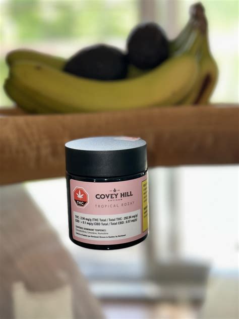 Covey Hill - Tropical Rozay / 29.2% THC 🍹 : r/sqdc