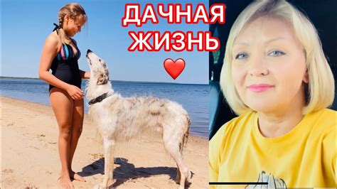 ДАЧНАЯ ЖИЗНЬ! ️ - YouTube