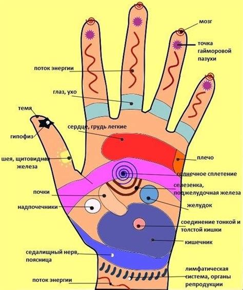 Человек - ЗДРАВНИЦА