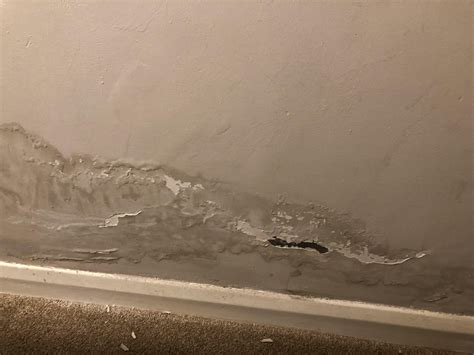 Leak ruined paint : r/DIYUK