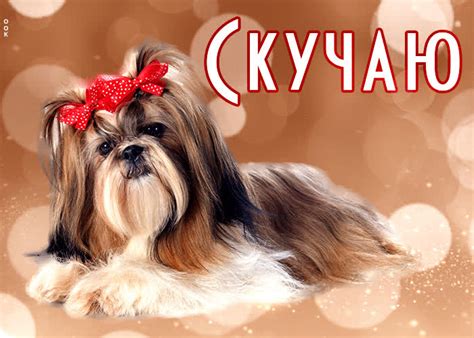 Открытки скучаю | ТОП Картинки