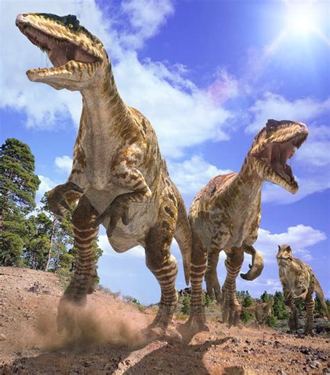 Giganotosaurus | Wiki | Amino Paleontología Amino
