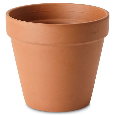 B&q Plant Pots Terracotta - Garden Plant