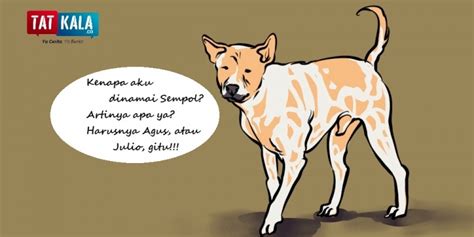 anjing bali  hidup masyarakat bali tatkalaco