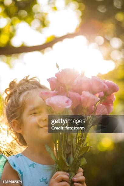 Lisianthus Photos and Premium High Res Pictures - Getty Images