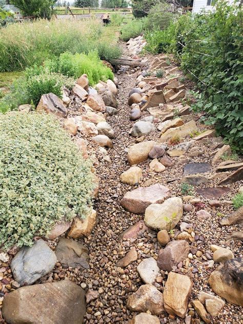 Creating a Dry Creek Bed — Our Nesting Space