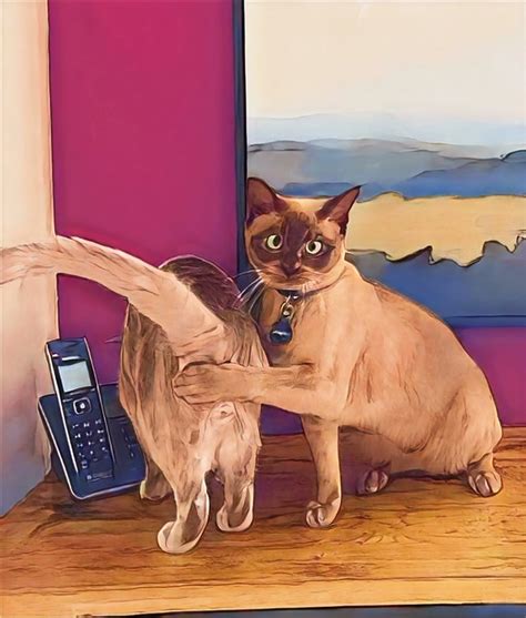 Я плохой on Twitter: "Чо смотришь?Ставь лайк и листай дальше!"
