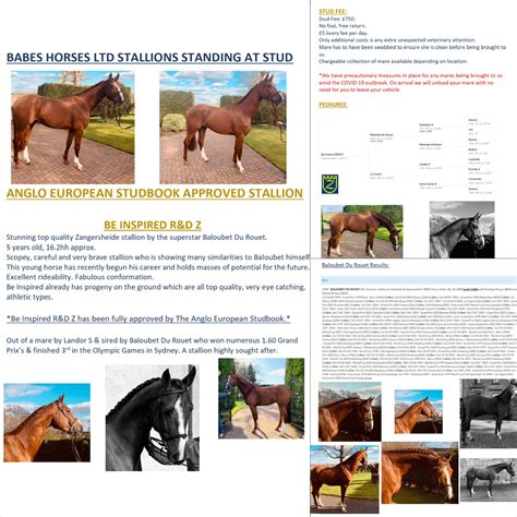 Stallions at Stud