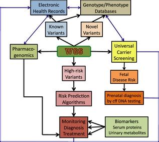 model  integration  wgs data  diagnostics  therapeutics