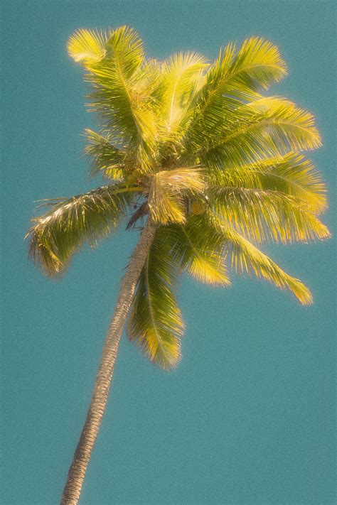 Images+Of+Naked+Girls+On+The+Beach Photos, Download The BEST Free