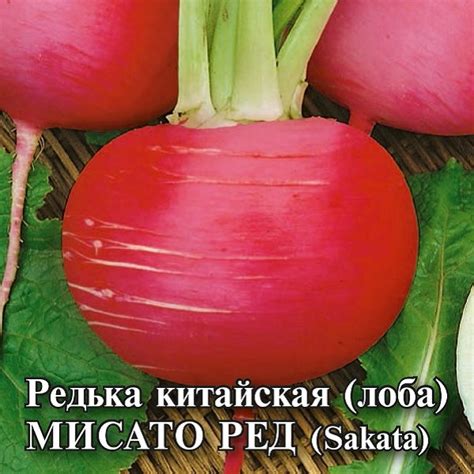 Семена Редька китайская (дайкон, лоба) Мисато Ред, 25г, Гавриш ...