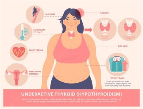 Important Tests for Thyroid Health