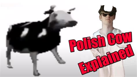 Dancing Polish Cow Explained - YouTube