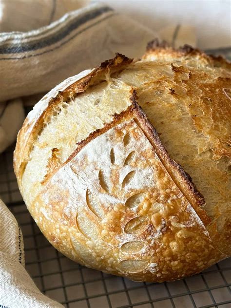 Signs of Overproofed Sourdough Bread (And How to Fix It) - Foragers of