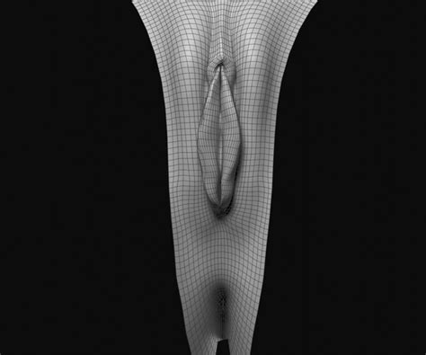 ArtStation - Realistic Vagina Detailed and Photorealistic Pack of 3 ...