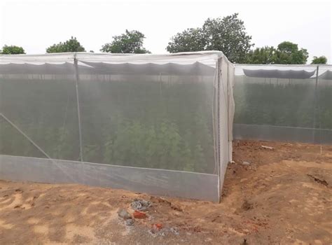 HDPE & PLASTIC GREEN HOUSE / NET HOUSE, For Agriculture at Rs 610/meter ...