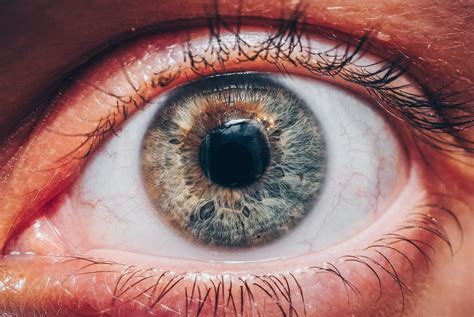The anatomy of the human eye and how laser treatment affects it | Optimax