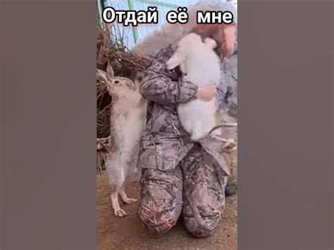 Заяц-маньяк👹 - YouTube