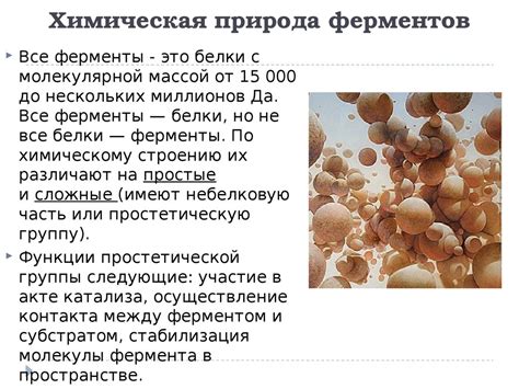 Ферменты. Роль ферментов в организме. Каталитические свойства ферментов ...
