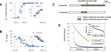 estimation  operational sex ratio  polyandrous  monoandrous