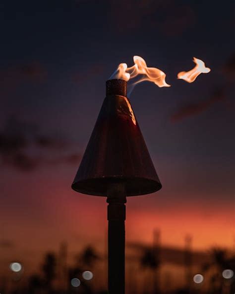 Great Tiki Photos Pexels · Free Stock Photos